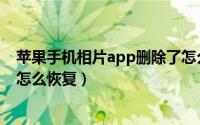 苹果手机相片app删除了怎么恢复回来（苹果相册app被删怎么恢复）