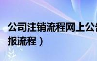 公司注销流程网上公告（深圳公司注销公告登报流程）