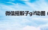 微信摇骰子gif动图（微信摇骰子在哪里）