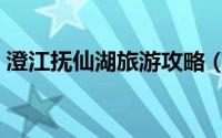 澄江抚仙湖旅游攻略（澄江抚仙湖旅游攻略）