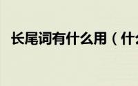长尾词有什么用（什么是长尾词及如何做）