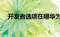 开发者选项在哪华为（开发者选项在哪）