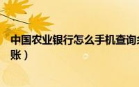 中国农业银行怎么手机查询余额（中国农业银行怎么手机转账）