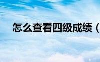 怎么查看四级成绩（怎么查看四级成绩）