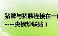 猪脾与猪胰连接在一起吗（猪胰和猪脾的区别----尖椒炒联贴）