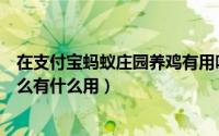 在支付宝蚂蚁庄园养鸡有用吗（支付宝蚂蚁庄园时光鸡是什么有什么用）