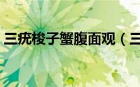 三疣梭子蟹腹面观（三疣梭子蟹的分辨方法）