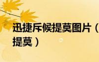 迅捷斥候提莫图片（【兔宝宝】迅捷斥候 - 提莫）