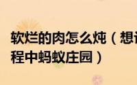 软烂的肉怎么炖（想让炖肉更易软烂制作的过程中蚂蚁庄园）