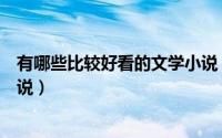 有哪些比较好看的文学小说（有哪些经典而好看的文学类小说）