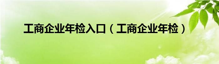 工商企业年检入口（工商企业年检）