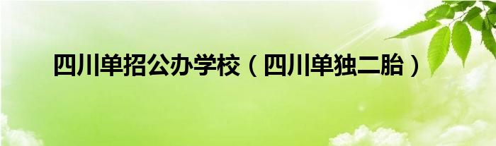 四川单招公办学校（四川单独二胎）