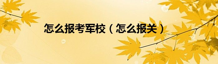 怎么报考军校（怎么报关）
