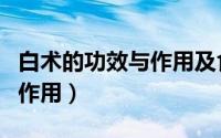 白术的功效与作用及食用方法（白术的功效与作用）