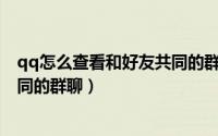 qq怎么查看和好友共同的群（QQ怎么查询与好友有哪些共同的群聊）