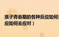 孩子青春期的各种反应如何去应对呢（孩子青春期的各种反应如何去应对）