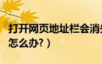 打开网页地址栏会消失（浏览器地址栏消失了怎么办?）