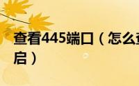 查看445端口（怎么查询电脑445端口是否开启）