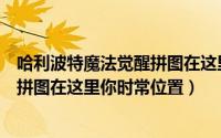 哈利波特魔法觉醒拼图在这里你时常能（哈利波特魔法觉醒拼图在这里你时常位置）