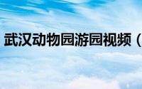 武汉动物园游园视频（武汉动物园游玩攻略）