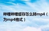 哔哩哔哩缓存怎么转mp4（怎样把哔哩哔哩里缓存的视频转为mp4格式）