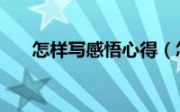 怎样写感悟心得（怎样写感悟的文章）