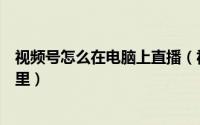 视频号怎么在电脑上直播（视频号视频直播如何下载到电脑里）