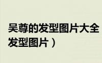 吴尊的发型图片大全（吴尊的发型叫什么吴尊发型图片）