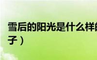 雪后的阳光是什么样的（雪后阳光下是什么样子）