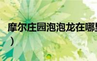 摩尔庄园泡泡龙在哪里（摩尔庄园泡泡龙在哪）