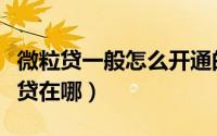 微粒贷一般怎么开通的（微粒贷开通技巧微粒贷在哪）