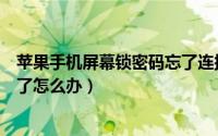 苹果手机屏幕锁密码忘了连接电脑（苹果手机屏幕锁密码忘了怎么办）