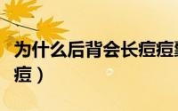 为什么后背会长痘痘囊肿（为什么后背会长痘痘）