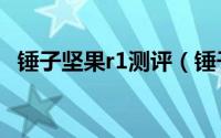 锤子坚果r1测评（锤子坚果r1测评详细 1）