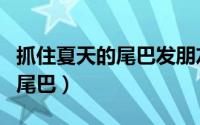 抓住夏天的尾巴发朋友圈的句子（抓住夏天的尾巴）