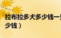 拉布拉多犬多少钱一只两个月（拉布拉多犬多少钱）