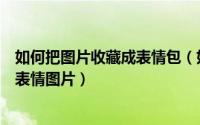 如何把图片收藏成表情包（如何添加QQ表情/ 如何收藏QQ表情图片）