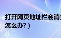 打开网页地址栏会消失（浏览器地址栏消失了怎么办?）