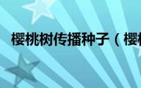 樱桃树传播种子（樱桃树传播种子的方法）