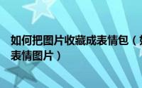 如何把图片收藏成表情包（如何添加QQ表情/ 如何收藏QQ表情图片）