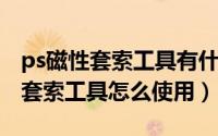 ps磁性套索工具有什么用（Photoshop磁性套索工具怎么使用）