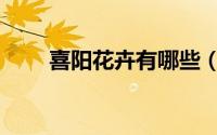 喜阳花卉有哪些（喜阳花卉有哪些）