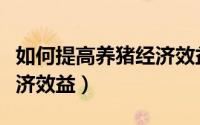 如何提高养猪经济效益研究（如何提高养猪经济效益）