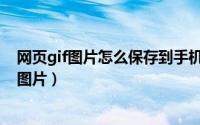 网页gif图片怎么保存到手机（手机怎么保存和浏览gif动态图片）