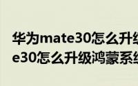 华为mate30怎么升级鸿蒙os系统（华为mate30怎么升级鸿蒙系统）