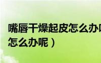 嘴唇干燥起皮怎么办吃什么药（嘴唇干燥起皮怎么办呢）