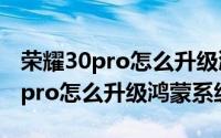 荣耀30pro怎么升级鸿蒙os2.0系统（荣耀30pro怎么升级鸿蒙系统）