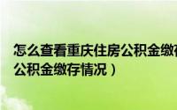 怎么查看重庆住房公积金缴存情况明细（怎么查看重庆住房公积金缴存情况）