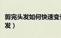 剪完头发如何快速变长（剪完头发如何快速生发）