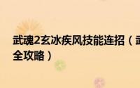 武魂2玄冰疾风技能连招（武魂疾风系玄冰装备加点及技能全攻略）